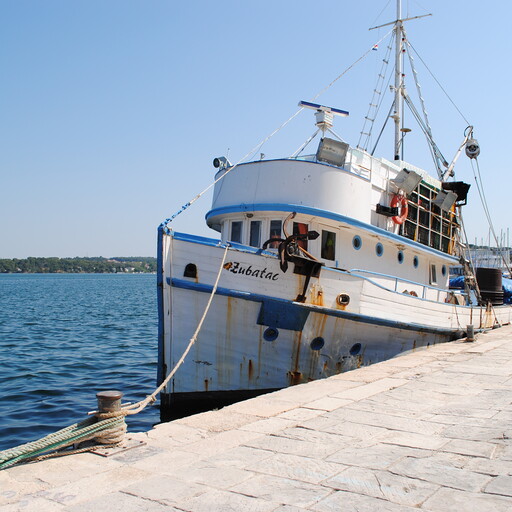 ilustrační obrázek k článku Slovinsko - Chorvatsko 2013